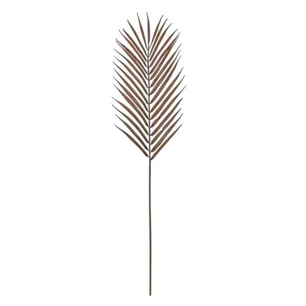 Palm Stems in Brown Set of Six (3)