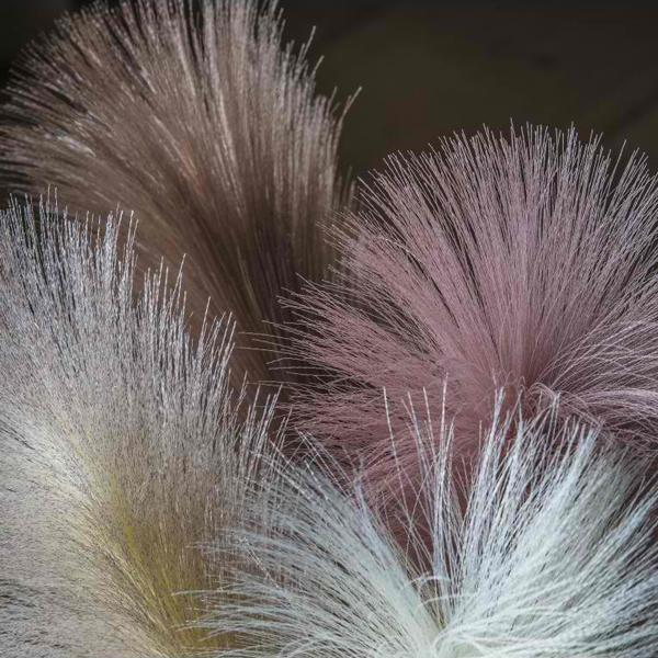 Goma Soft Feather Stem in Brown Set of Five