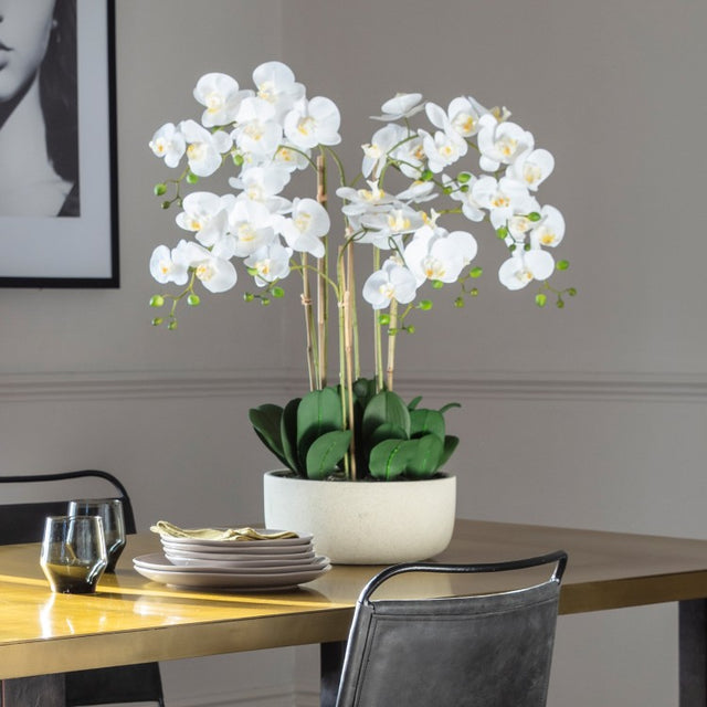 Large Orchid in White Bowl