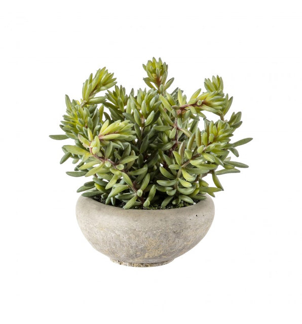 Artificial Sedum Plant with Small Bowl