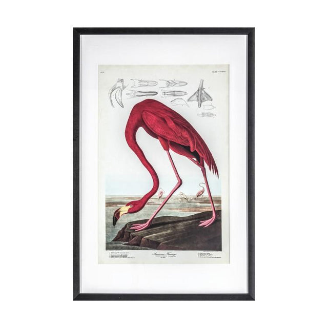 Lavinia Flamingo Framed Wall Art