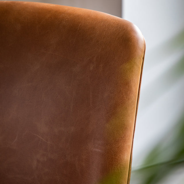 Robin Leather Armchair in Brown (3)