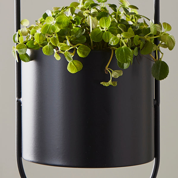 Lalita Large Hanging Plant Holder in Black (2)